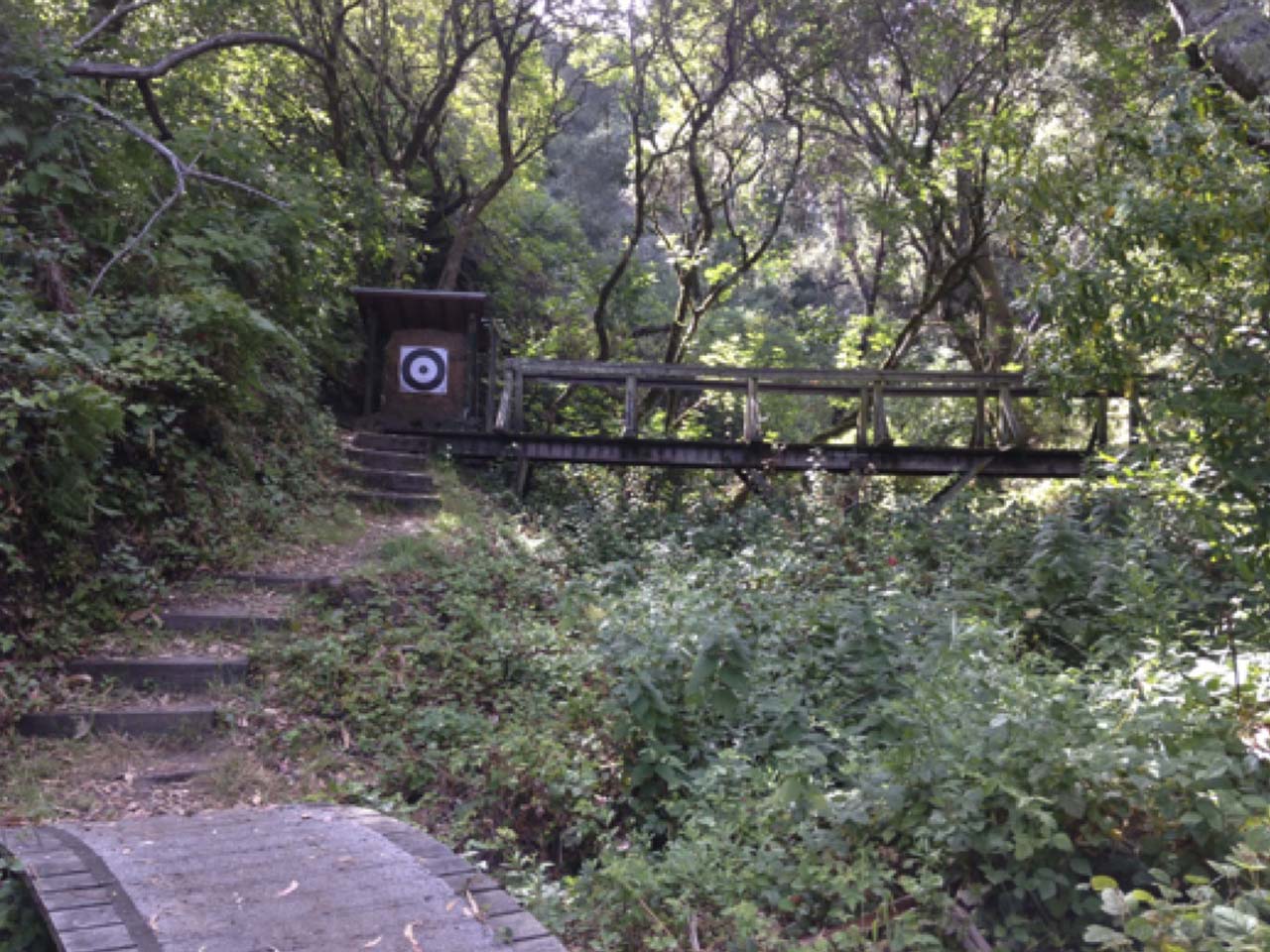 a wooded trail with stairs and bridges and a target situated in the middle