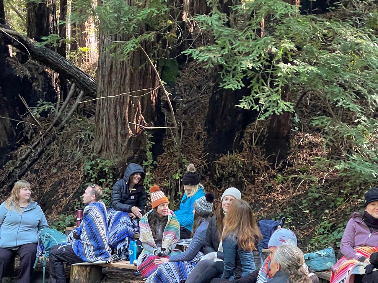 A group of people in the redwood forest