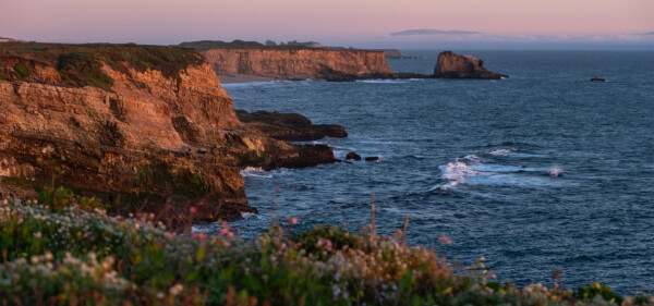 Overlooking the Monterey Bay overlooking Panther Beach through the wildflowers. Photographed by Daniel Gorostieta