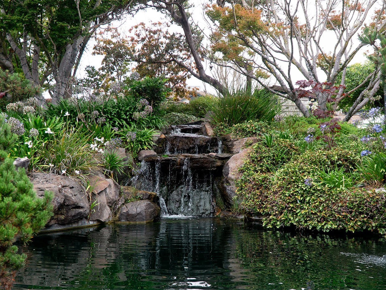 Waterfall at Seacliff Inn pond. Photographed by Caryn Hewlett