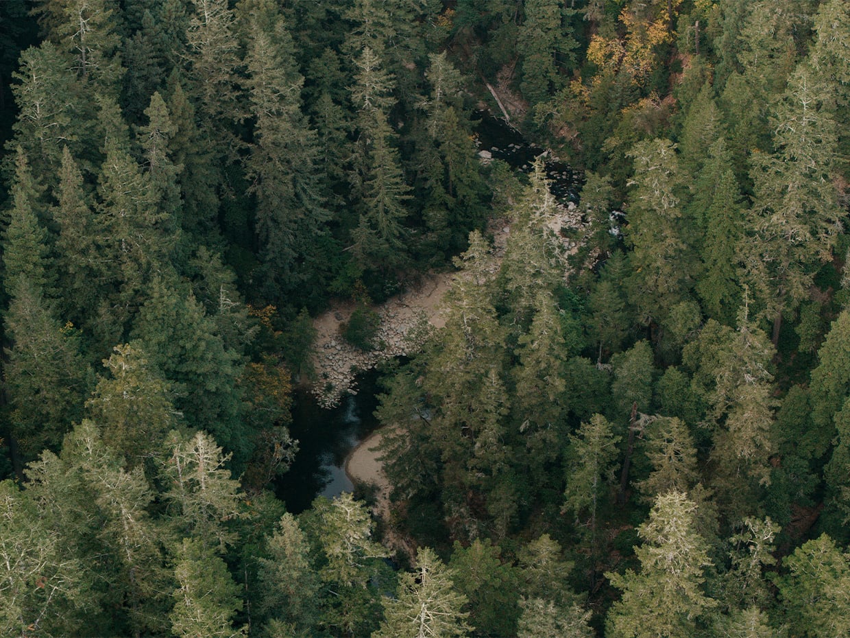 Aerial view of San Lorenzo River in Felton. Drone footage by Ben Ingram