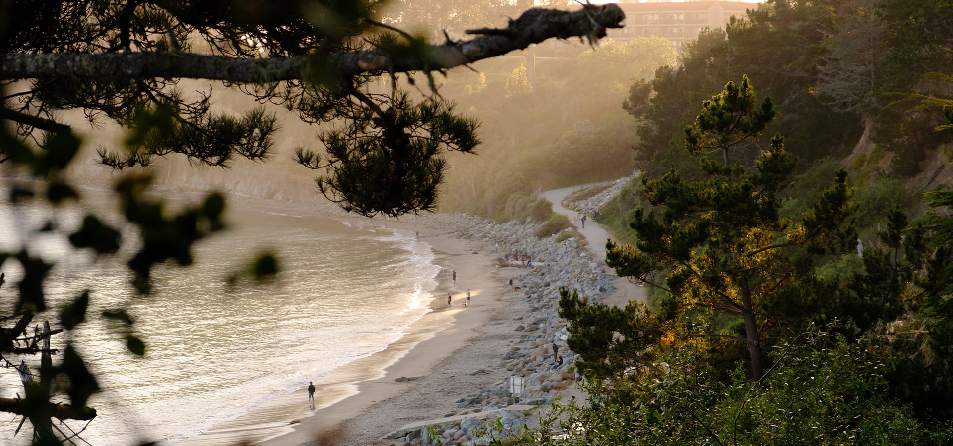 View of New Brighton State Beach from the campground above. Photographed by Daniel Gorostieta