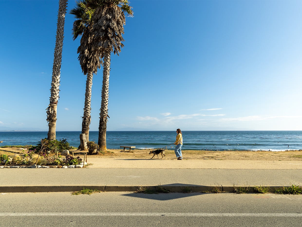 A person walking their dog along East Cliff Drive at Pleasure Point. Photographed by Daniel Gorostieta