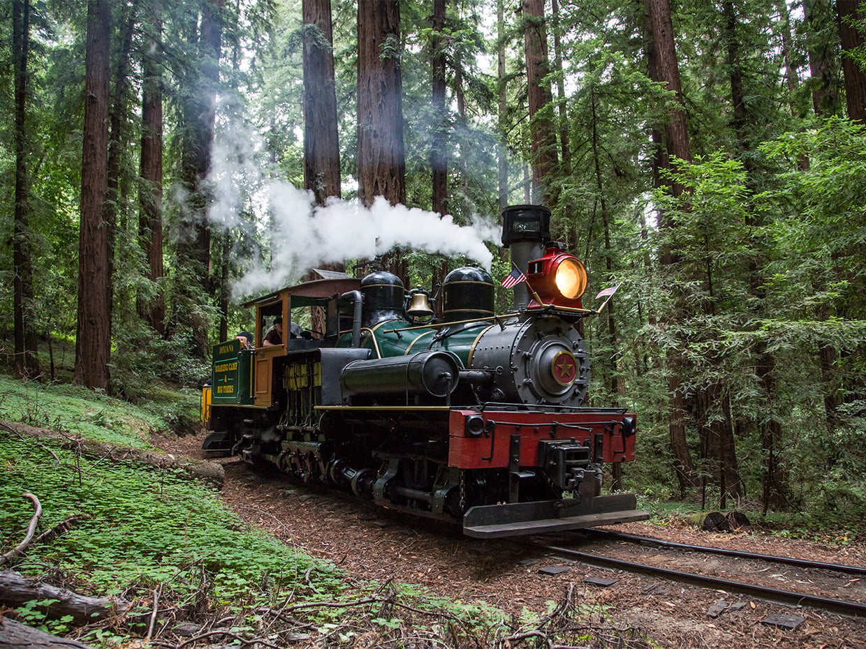 Steam Train through the redwood trees at Roaring Camp. Photographed by Walter Scriptunas