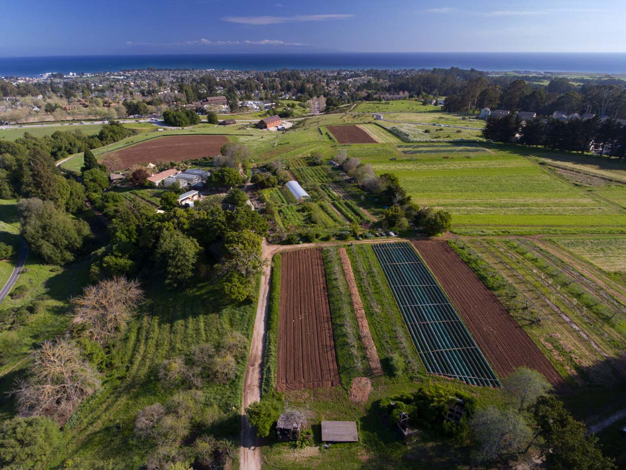 Ariel view of the farm with the ocean in the distance